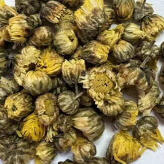 Chrysanthemum Flower